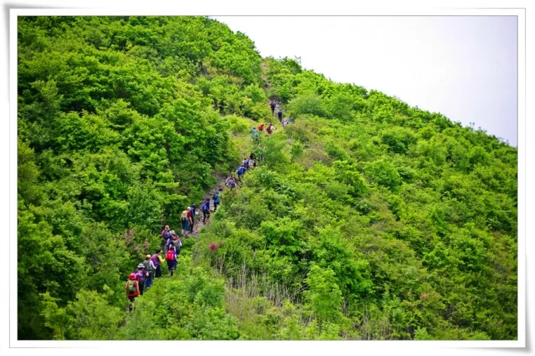 KakaoTalk_20240530_113924521.jpg?type=w773