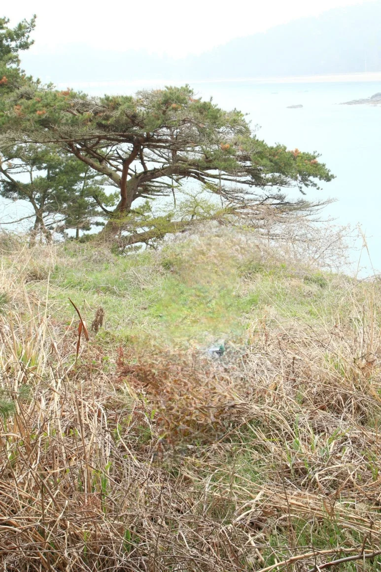 KakaoTalk_20240525_221214289_01.jpg?type=w773