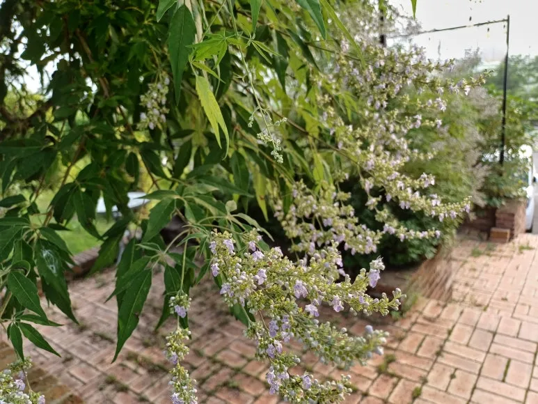 KakaoTalk_20240726_223814138_04.jpg?type=w773