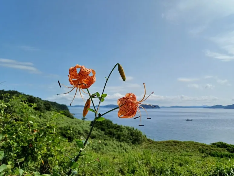 KakaoTalk_20240720_232349443_05.jpg?type=w773