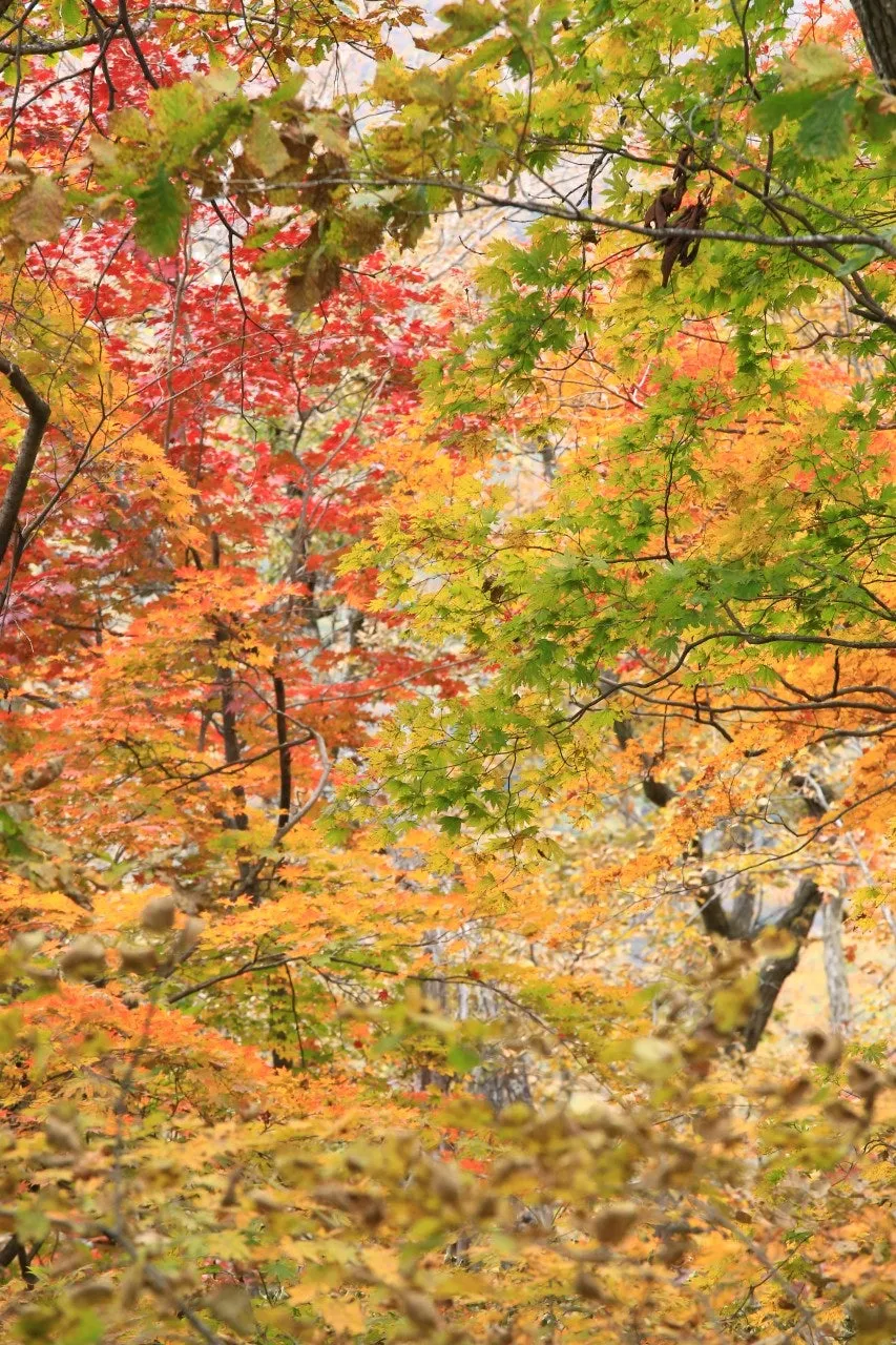 e_5i2Ud018svc10enild0ek7pz_wspi8t.jpg?type=e1920_std