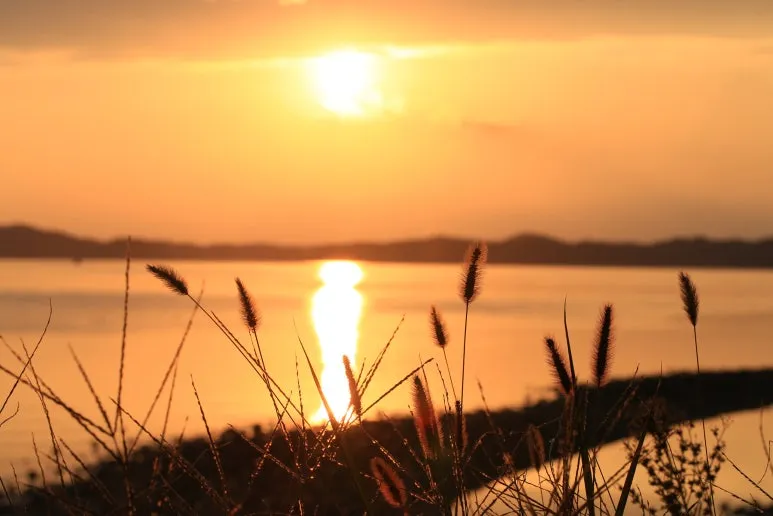 KakaoTalk_20250628_000218797.jpg?type=w773