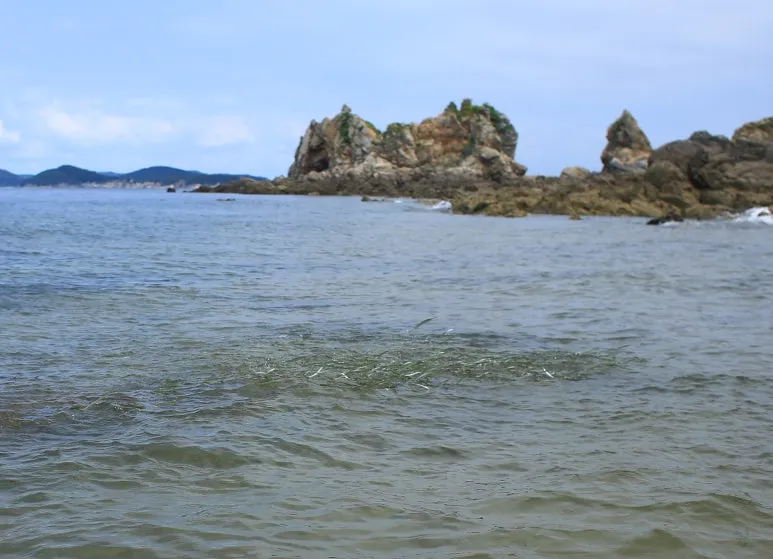 KakaoTalk_20240720_232603711.jpg?type=w773