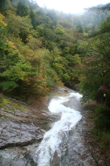 KakaoTalk_20251019_084701103_03.jpg?type=w386