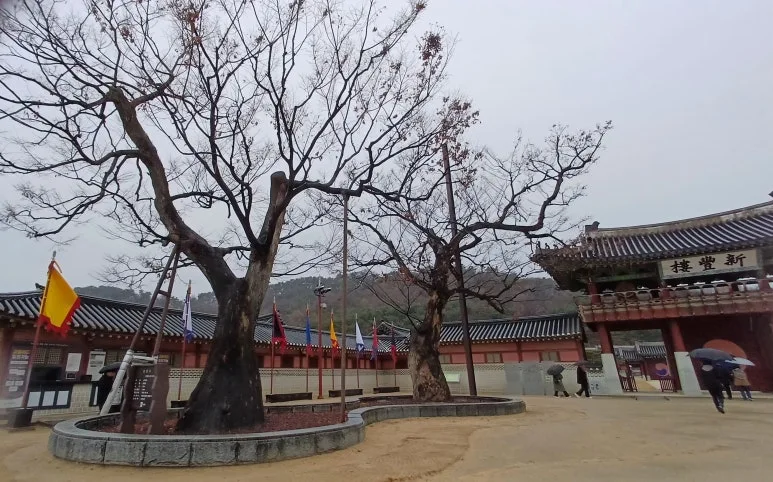 KakaoTalk_20251214_170316515_10.jpg?type=w773