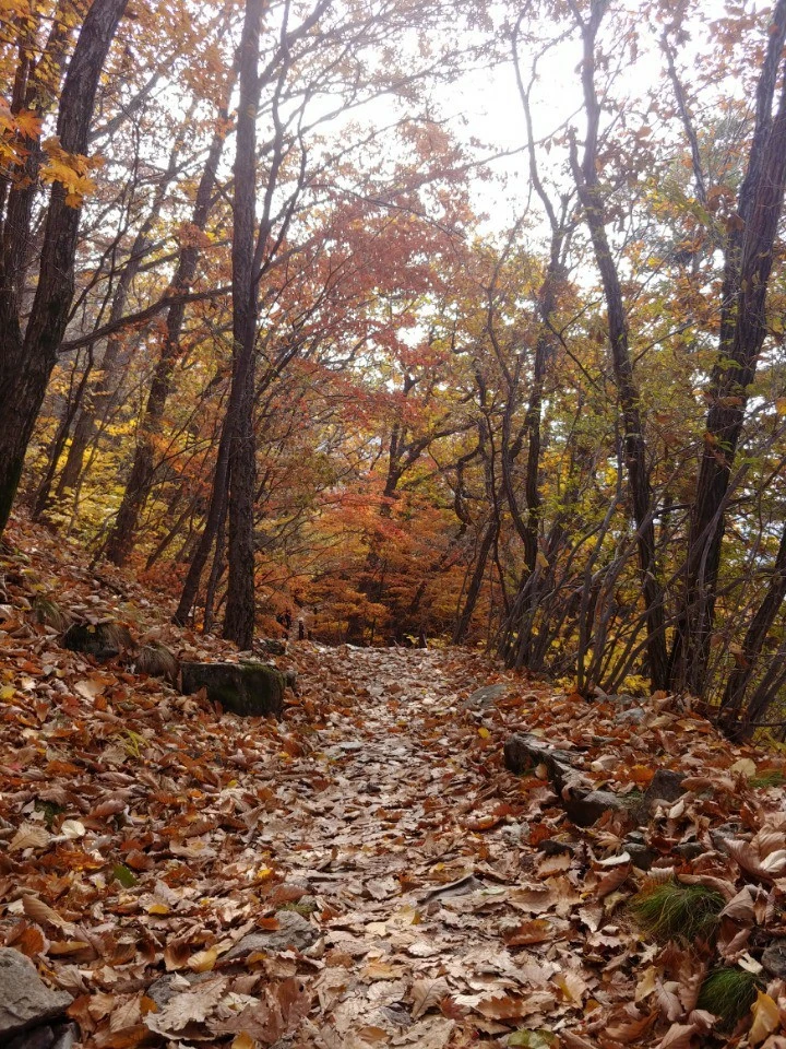 h_e07Ud018svcqejtle6n5dfz_wspi8t.jpg?type=e1920_std