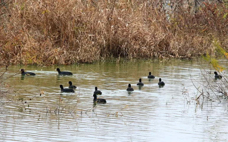 KakaoTalk_20250628_000218797_01.jpg?type=w773