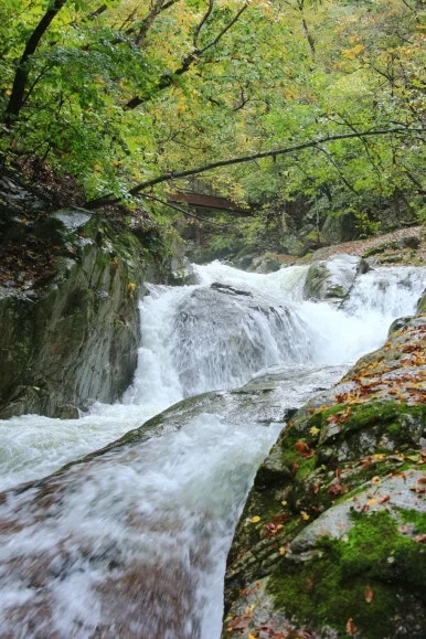 KakaoTalk_20251019_084701103_19.jpg?type=w386