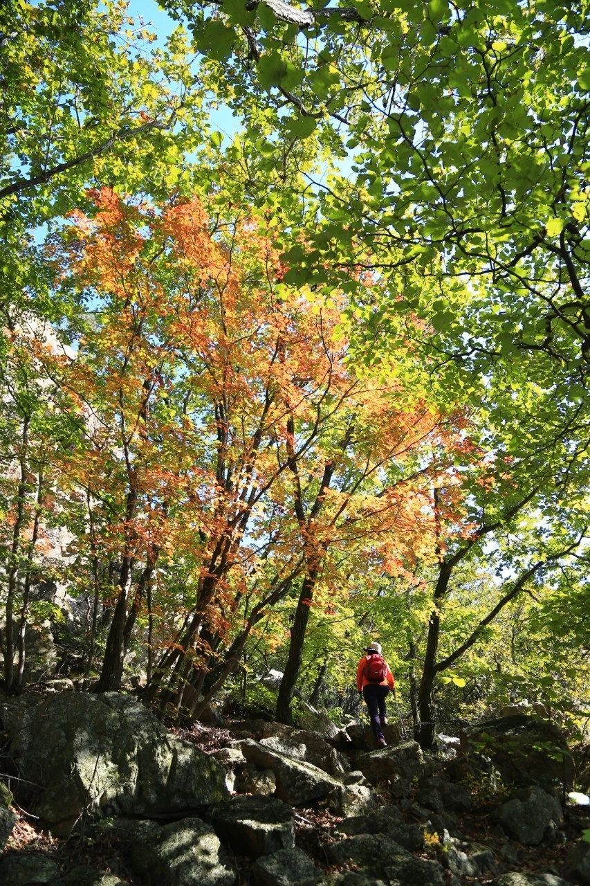 h_e07Ud018svc1ovcj7z1pz5a_wspi8t.jpg?type=e1920_std