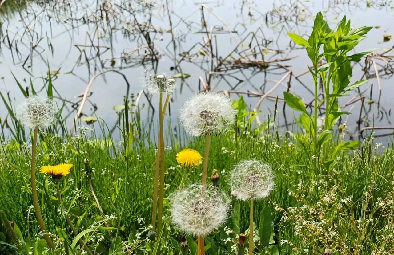 7_735Ud018svc140cro1igwei5_wspi8t.jpg?type=e1920_std