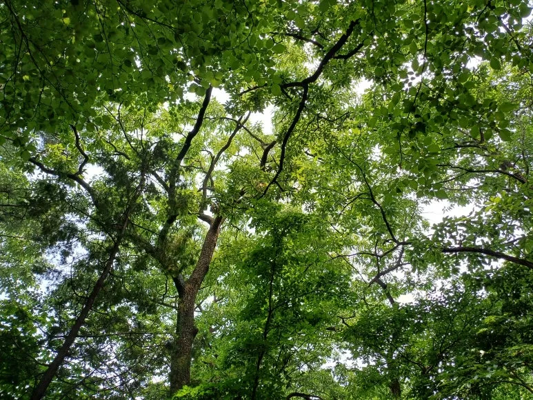 KakaoTalk_20240726_223814138_01.jpg?type=w773