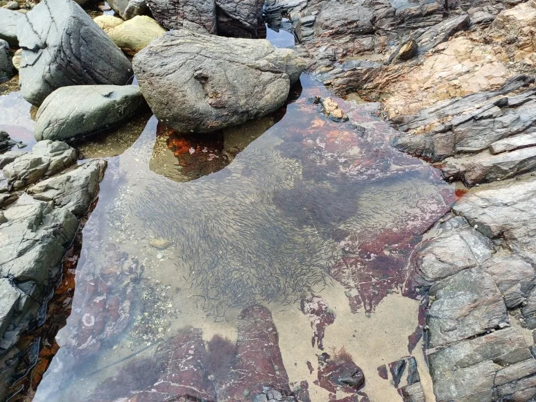 KakaoTalk_20240720_232349443_02.jpg?type=w773