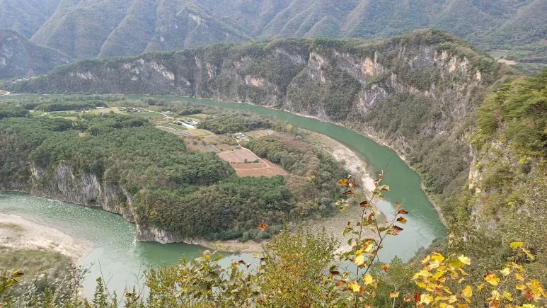 KakaoTalk_20251026_213714302_11.jpg?type=w773