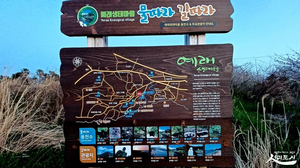 SE-903c1eff-e771-424f-b11f-8abf58461983.jpg?type=w966