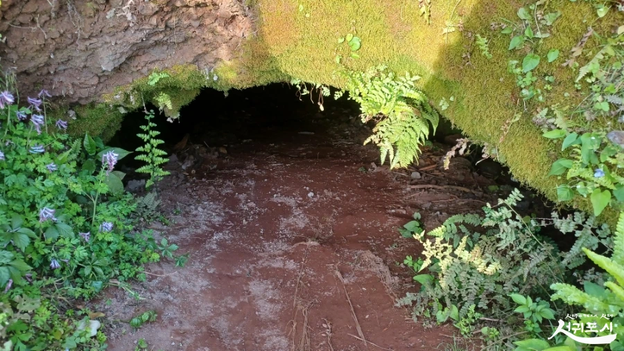 SE-4bc73567-f94e-409b-bfca-76195d6d16b9.jpg?type=w966