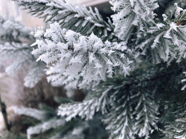 SE-7ee9b133-0f77-4fe9-bf89-176e84e18c5b.jpg?type=w966