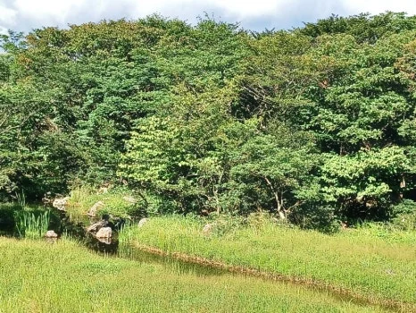 SE-b102cb3b-31c6-11ee-bd5a-e997c62bafe5.jpg?type=w466