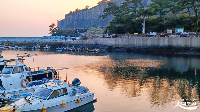 SE-773dc7aa-3f45-4b09-97ba-19c3082e5a42.jpg?type=w966