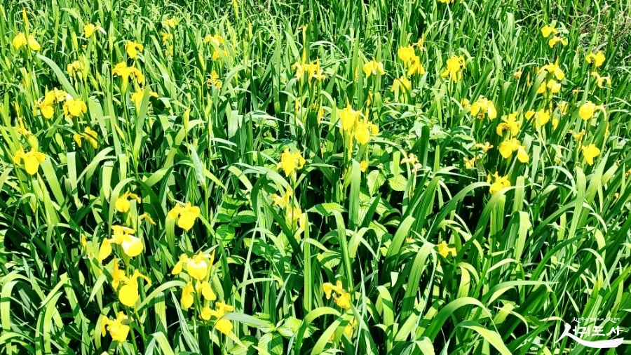 SE-1c45bc42-c1e0-11ec-b96b-a3c7f56876f3.jpg?type=w966