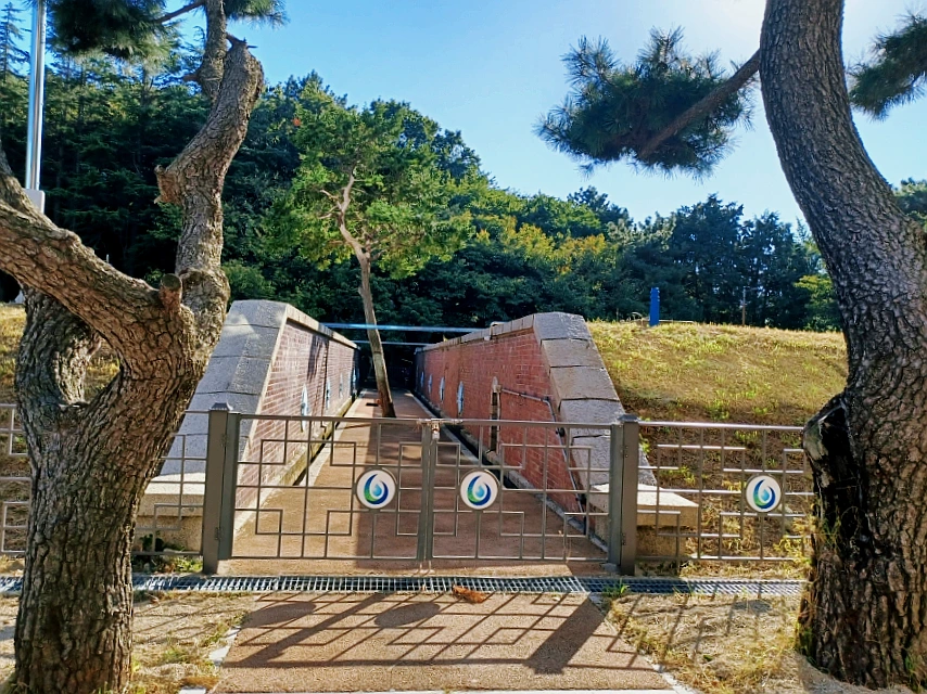 SE-fa058341-36f7-11ec-b46b-33ee03bbe620.jpg?type=w966