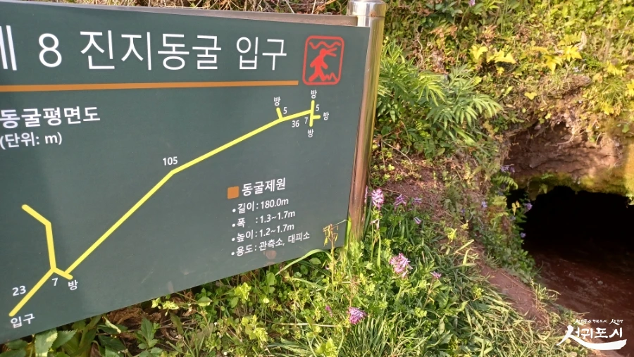 SE-9e152ddb-9190-4dbf-9811-8d8793c2f9e5.jpg?type=w966