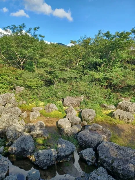 20230802%EF%BC%BF165641.jpg?type=w466