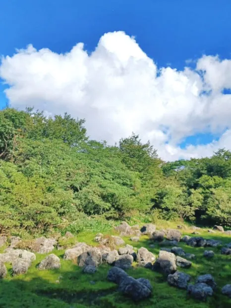 SE-b1245d0b-31c6-11ee-bd5a-fff5310cbe2a.jpg?type=w466