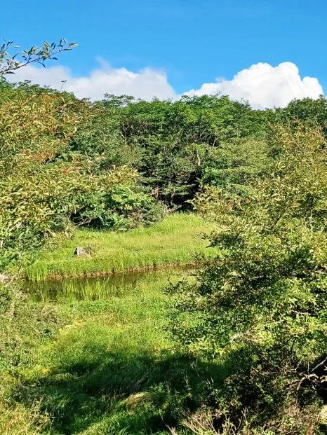 SE-b105ff8d-31c6-11ee-bd5a-a544293c3883.jpg?type=w466