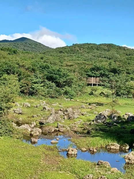 20230802%EF%BC%BF165542.jpg?type=w466