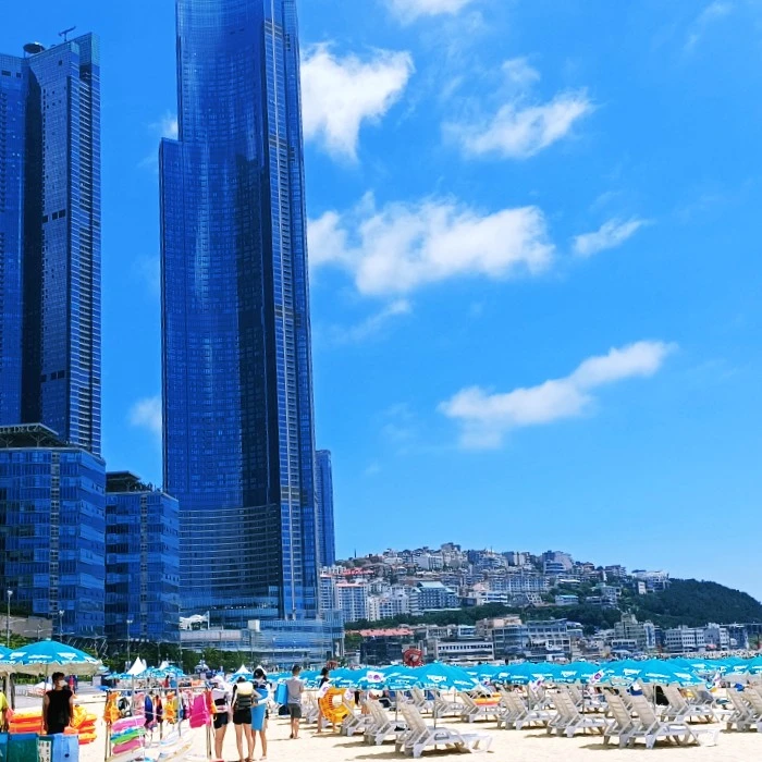 1628142173101.jpg?type=w966