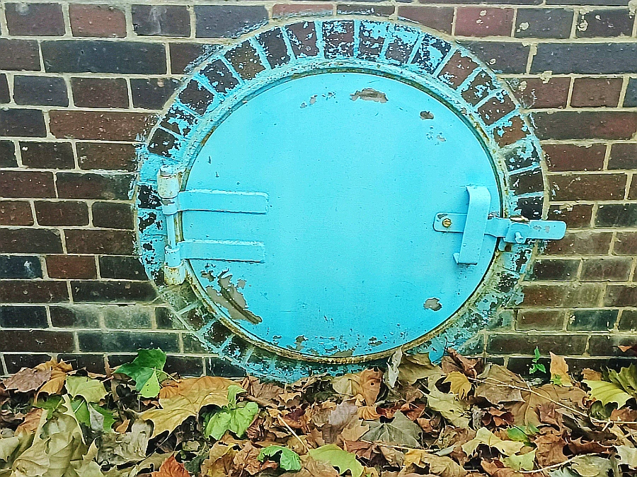 SE-fa06bbc6-36f7-11ec-b46b-911f65f1e994.jpg?type=w966