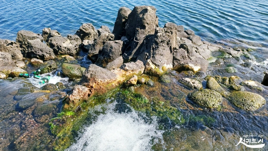 SE-1c78a6e6-71da-42bb-9d40-65bbd637720c.jpg?type=w966