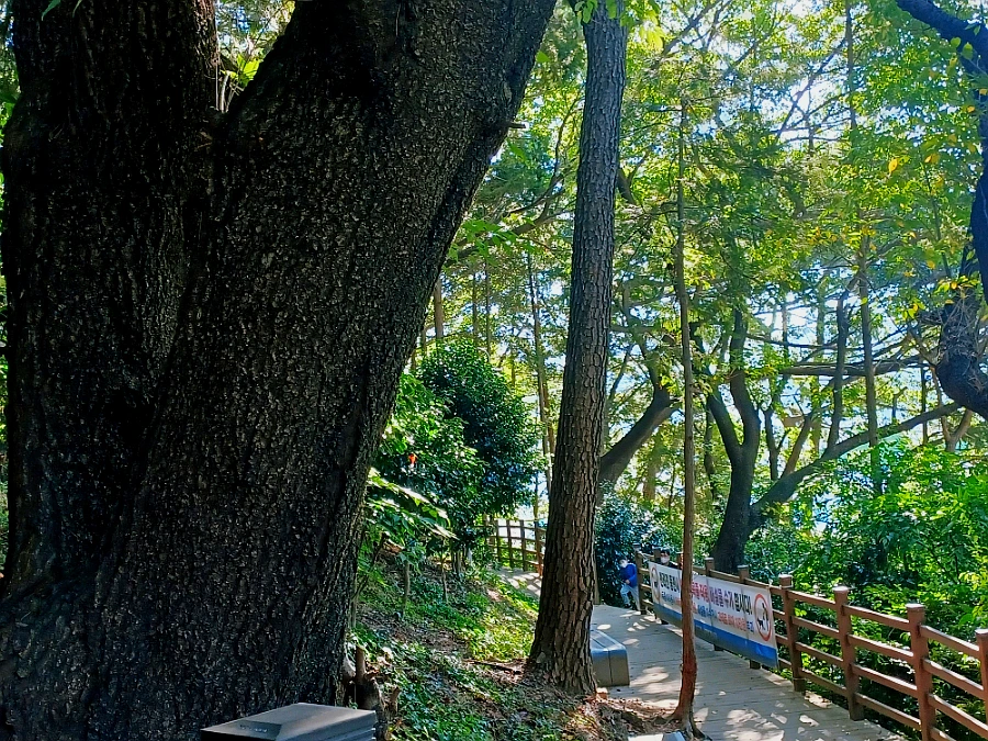 SE-fa07cd3a-36f7-11ec-b46b-2703be1d993e.jpg?type=w966