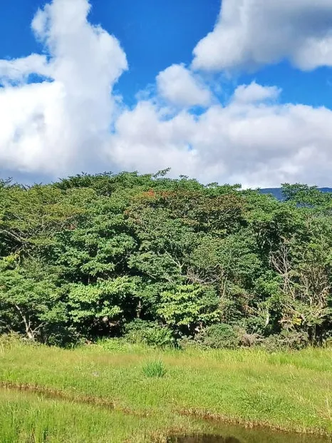 SE-b10478ec-31c6-11ee-bd5a-89ddab2e84d2.jpg?type=w466