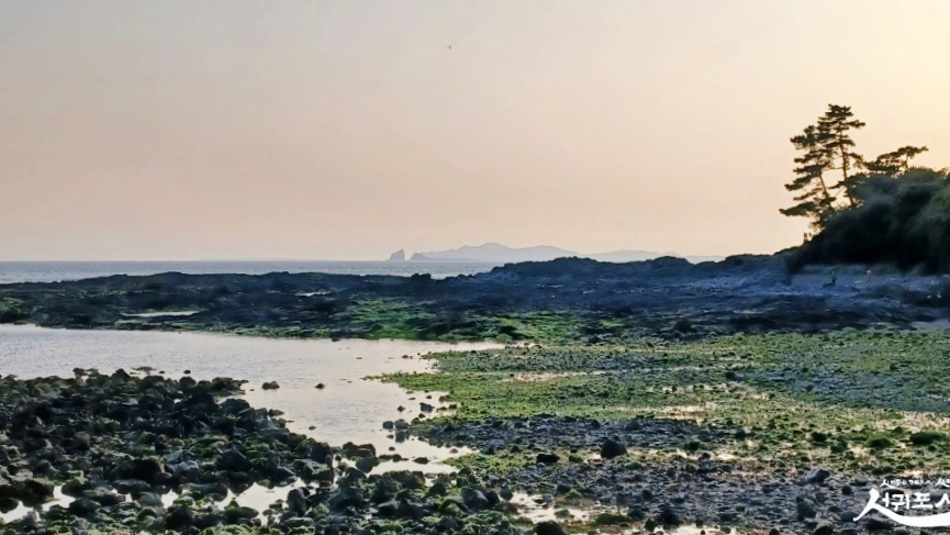 SE-8299fb68-8788-4e37-b623-d0ea9c41d83f.jpg?type=w966