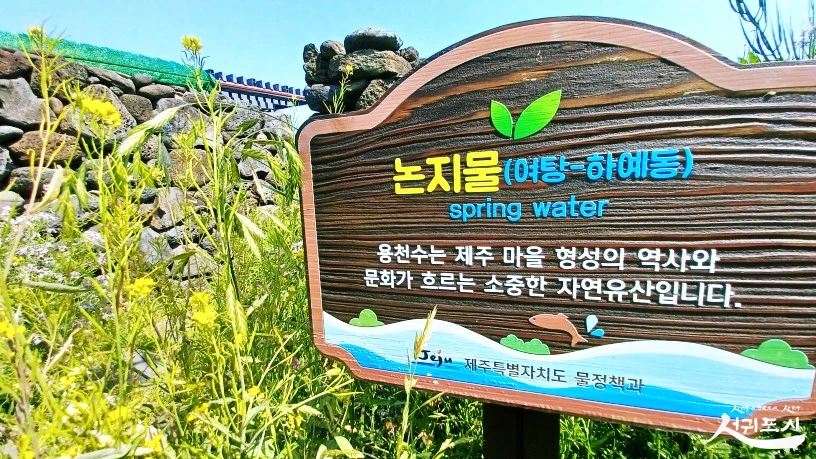 SE-aa0ae0a4-c1df-11ec-b96b-7f3f7826d70e.jpg?type=w966