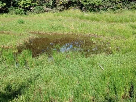 20230802%EF%BC%BF165002.jpg?type=w466