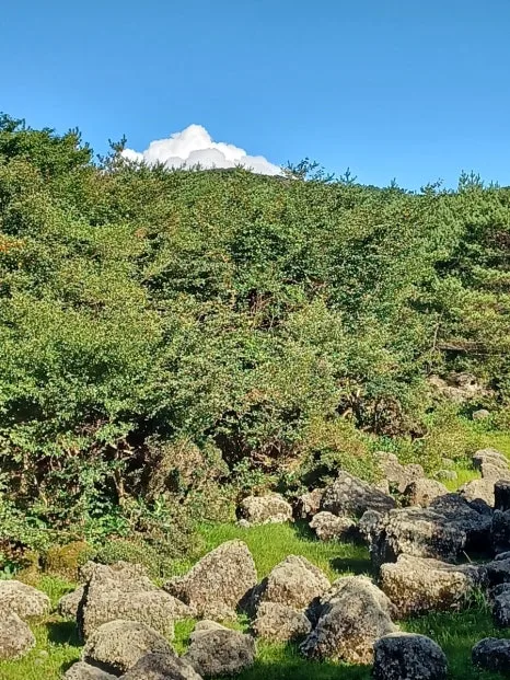 20230802%EF%BC%BF170038.jpg?type=w466