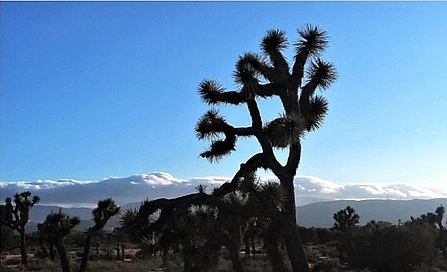 SE-c43c62b7-4c8d-4a0a-929f-9cc2a9ee6739.jpg?type=w966