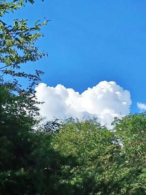 SE-b107fb5e-31c6-11ee-bd5a-4b4fa37a71cf.jpg?type=w466