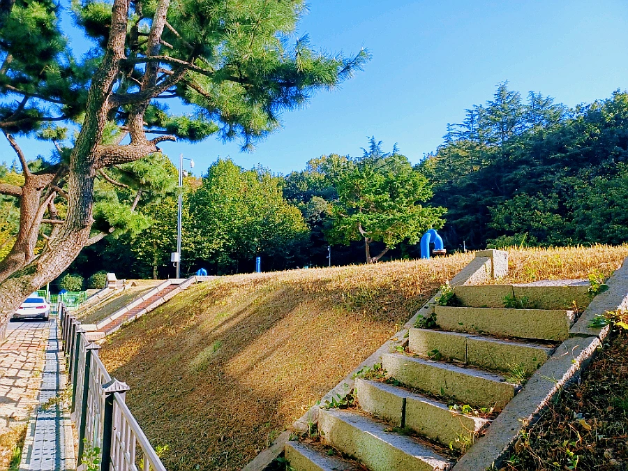 SE-fa050e0f-36f7-11ec-b46b-09ca665006fa.jpg?type=w966