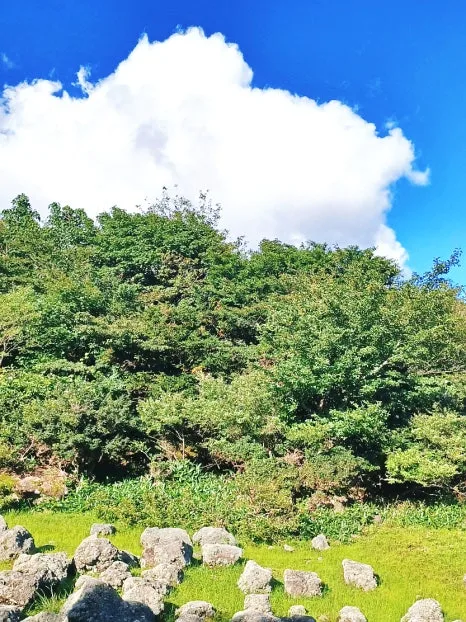 SE-b12128b9-31c6-11ee-bd5a-4182367a4413.jpg?type=w466