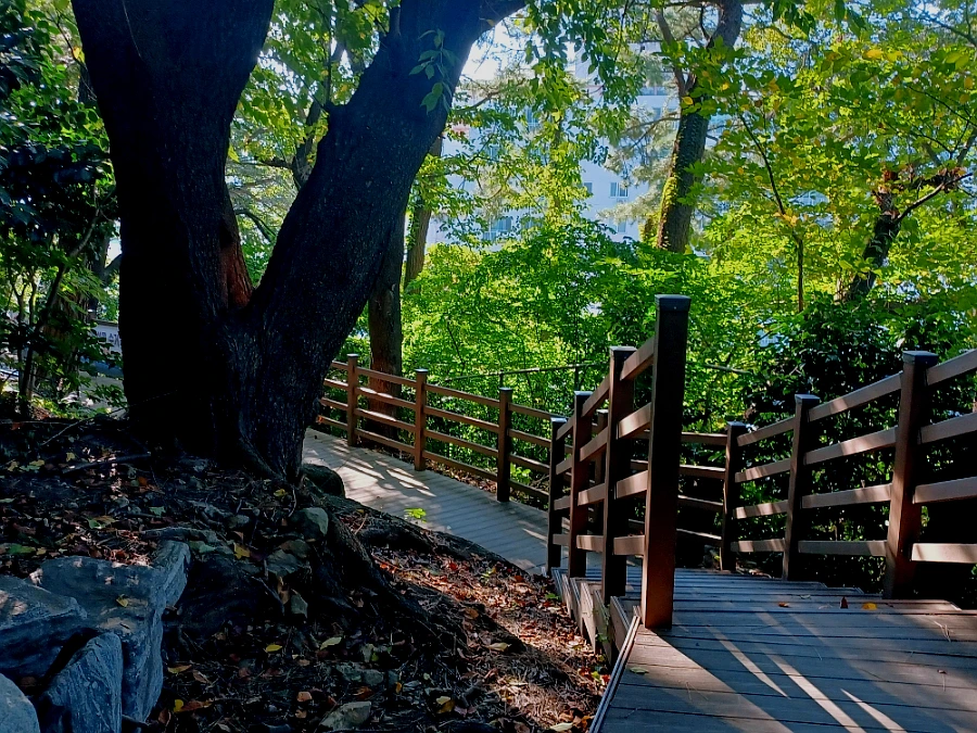 SE-fa0275f6-36f7-11ec-b46b-b789da17f443.jpg?type=w966