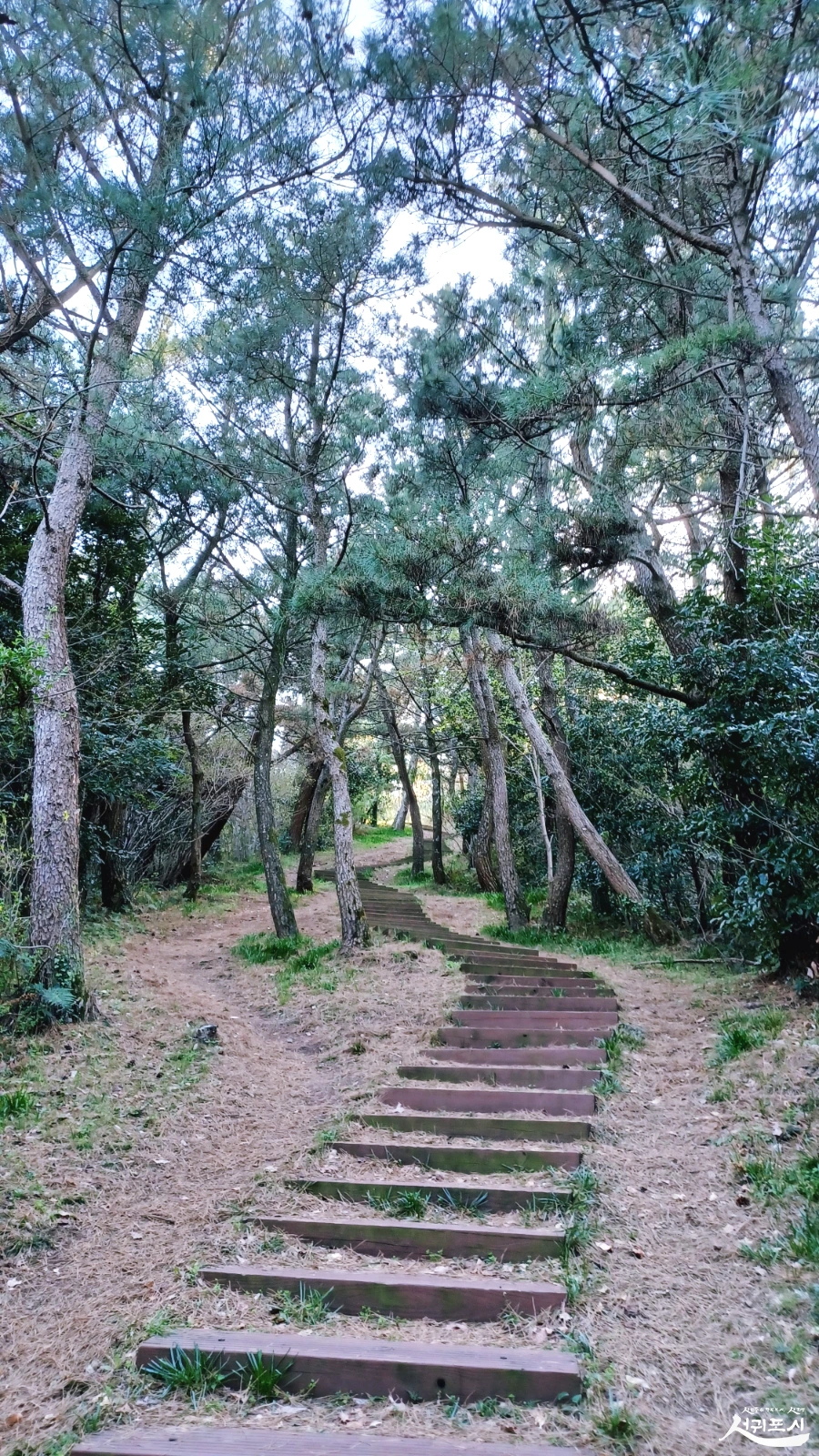 SE-3ace07d5-0cc8-439a-85c8-d0d703abeeda.jpg?type=w966