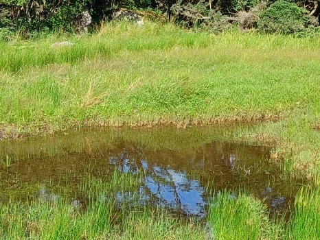 SE-146350d0-31c7-11ee-bd5a-890adf3c8351.jpg?type=w466