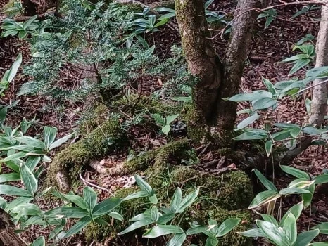 20230802%EF%BC%BF171210.jpg?type=w466