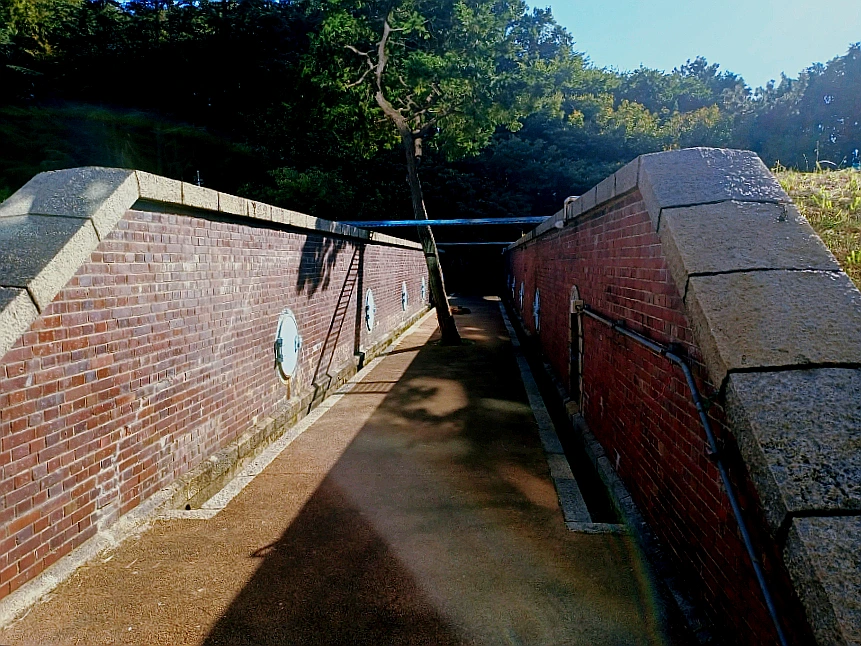 SE-fa04bfee-36f7-11ec-b46b-47ffc70d8681.jpg?type=w966