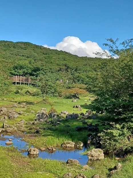 20230802%EF%BC%BF165510.jpg?type=w466