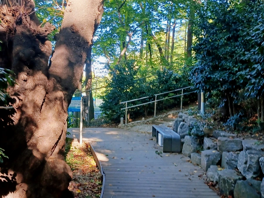 SE-fa077f19-36f7-11ec-b46b-c118b4f3266b.jpg?type=w966