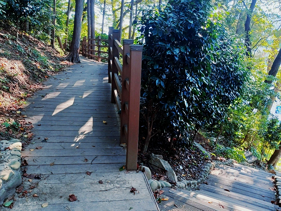 SE-fa031237-36f7-11ec-b46b-1d3c52676a55.jpg?type=w966